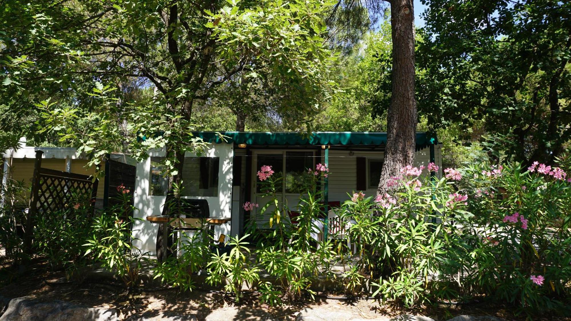 Chalets Met Buitenkeuken Op Camping Lei Suves - Joycasa Roquebrune-sur-Argens Quarto foto